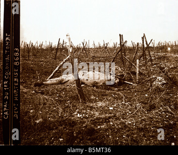 9FK 1917 4 16 A1 soldat français tombé à Hurtebise 1917 World War 1 1914 18 France Bataille de l'Aisne et de Champagne 6ème Apr Banque D'Images