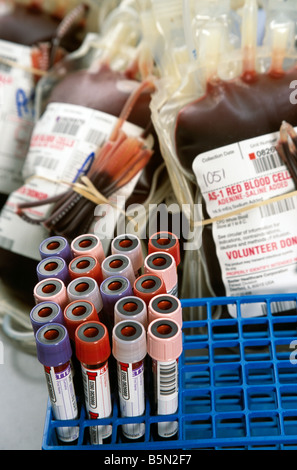Flacons et poches de sang à Blood Bank, FL, États-Unis, 2003 Banque D'Images