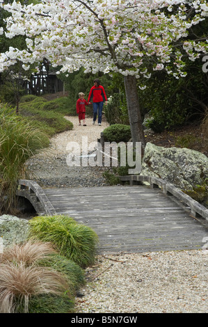 Fleur de printemps jardin japonais de Miyazu Nelson ile sud Nouvelle Zelande Banque D'Images