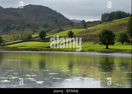 Réflexions, d'eau, collines, montagnes, ciels d'acier ; toutes les fonctions de l'automne dans les lacs du Nord. Banque D'Images