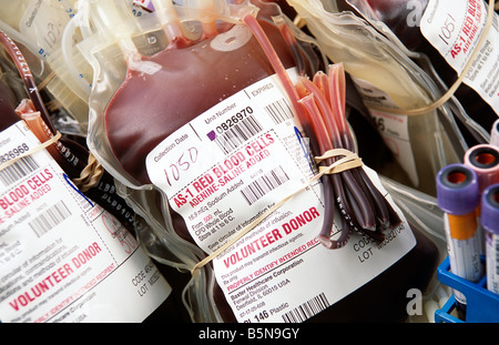 Flacons et poches de sang à Blood Bank, FL, États-Unis, 2003 Banque D'Images
