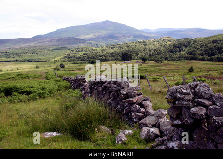 Mur de Pierres Sèches endommagé le Perthshire Highlands Ecosse Banque D'Images