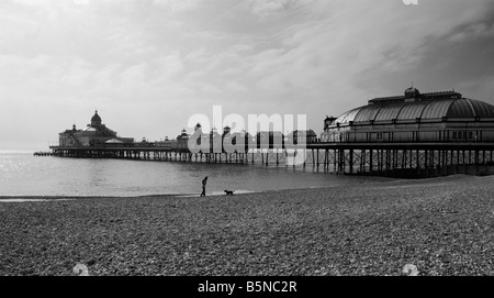 Royaume-uni, Angleterre, le 28 avril. 2008 Une femme entre son chien sur une plage déserte, à Eastbourne. Banque D'Images