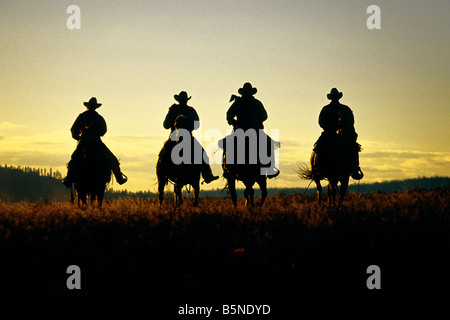 Quatre cowboys frapper la piste au lever du soleil. Banque D'Images