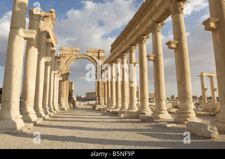 Grande colonnade et arc monumental, ruines romaines, Palmyre, Syrie Banque D'Images