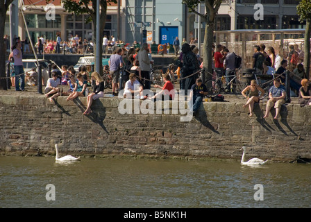 Des gens assis sur le mur du port à l'été, les cygnes en passant par le port, Bristol, Royaume-Uni Banque D'Images