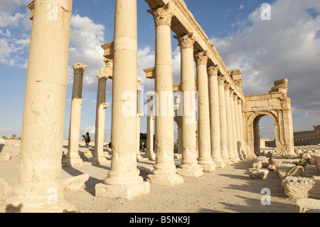 Grande Colonnade Palmyre, Syrie Banque D'Images