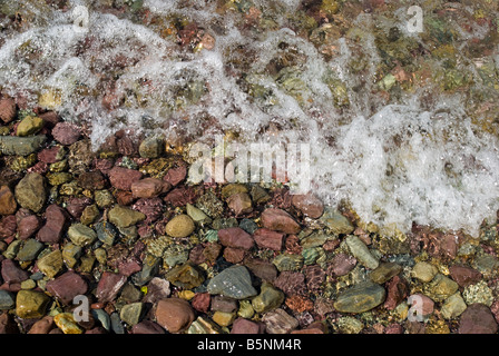 Plus d'ondes à travers cailloux colorés le long des rives du lac McDonald Le Glacier National Park du Montana Banque D'Images