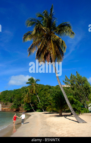 Couple en train de marcher sur la plage à Lance Aux Epines la grenade dans la 'Antilles' Banque D'Images