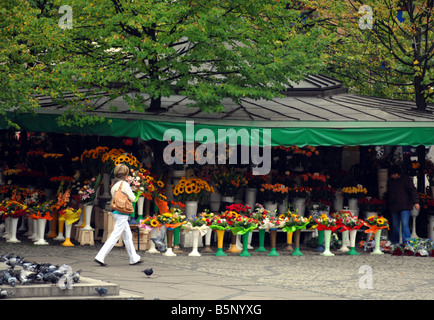 Marché aux fleurs à la place de 'alt' ou Solny Square, Wroclaw, Pologne Banque D'Images