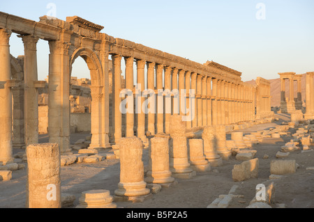 Grande Colonnade, Palmyre Banque D'Images