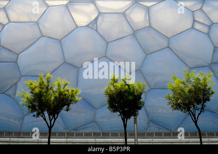 Juxtaposé aux arbres Centre national de natation (Cube d'eau) à l'été de 2008 Jeux Olympiques de Beijing. Banque D'Images