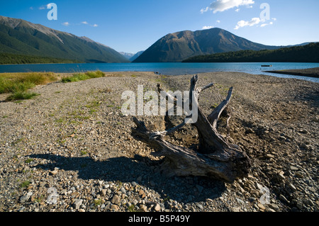 Mont Robert au-dessus du lac Rotoiti de St. Arnaud, Parc national des lacs Nelson, Île du Sud, Nouvelle-Zélande Banque D'Images