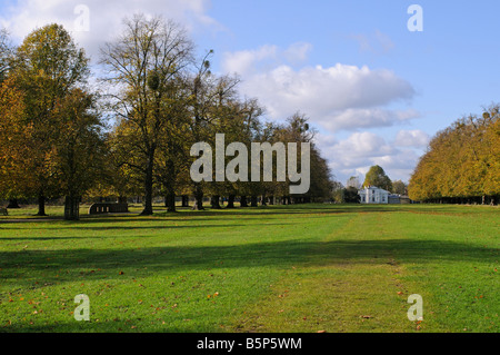 Avenue de lime et Blanc Lodge Bushy Park Middlesex UK Banque D'Images