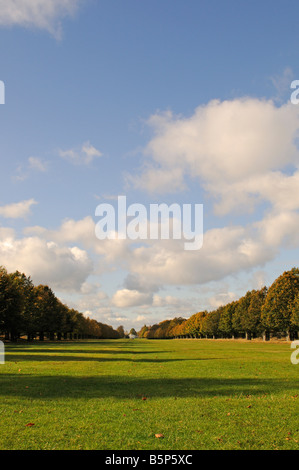 Avenue de lime et Blanc Lodge Bushy Park Middlesex UK Banque D'Images