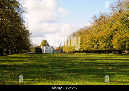 Avenue de lime et Blanc Lodge Bushy Park Middlesex UK Banque D'Images