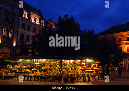 Marché aux fleurs à la place de 'alt' ou Solny Square, Wroclaw, Pologne Banque D'Images