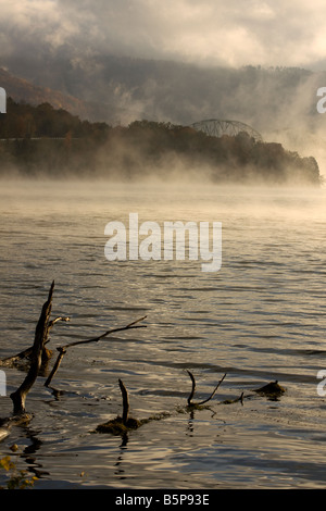 Tôt le matin, brouillard sur la rivière Tennessee avec le Marion Memorial Bridge (Pont in Haletown) dans l'arrière-plan Banque D'Images