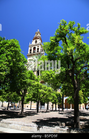 Torre, del, Alminar, Patio de los Naranjos, Mezquita, Cordoue, Andalousie, Sud de l'Espagne. Banque D'Images