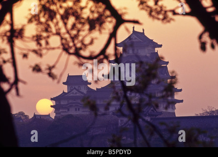 Coucher de soleil derrière le château de samouraï de Himeji, Japon Banque D'Images