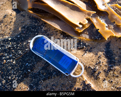 Un ordinateur numérique memory stick perdu sur une plage de sable fin avec des algues Banque D'Images