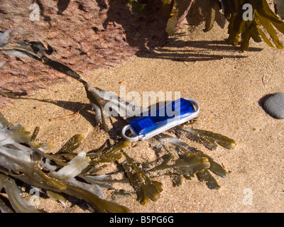 Un ordinateur numérique memory stick perdu sur une plage de sable fin avec des algues Banque D'Images