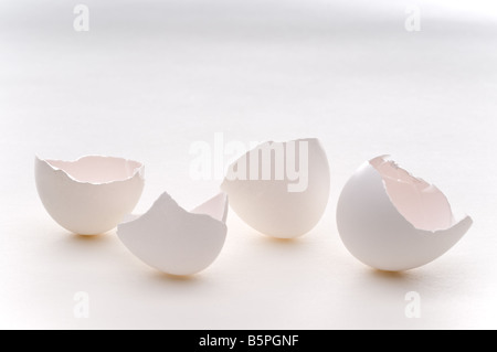 coquilles de œufs vides Banque D'Images