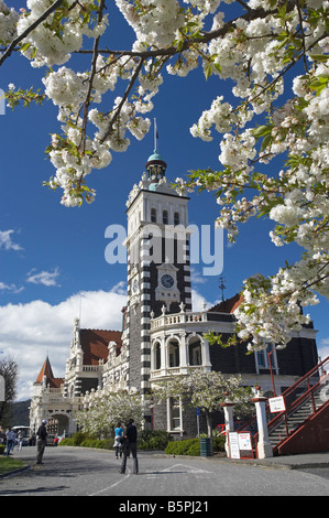 Fleur de printemps et gare ferroviaire historique Dunedin ile sud Nouvelle Zelande Banque D'Images