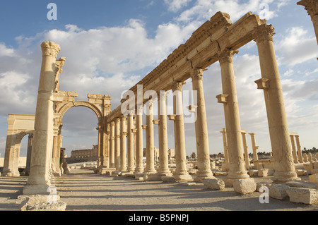 Colonnade romaine et arc monumental, Palmyra, Syrie Banque D'Images