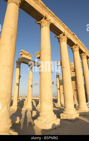 Grande Colonnade, Palmyra, Syrie Banque D'Images