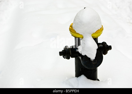 Borne-fontaine couverte de neige froid hiver couleur couleur jaune contraste l'Université Harvard de Boston Massachusetts USA Banque D'Images