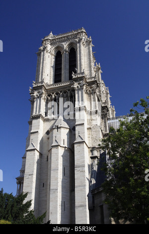 Vue latérale de la cathédrale Notre-Dame Bell Tower, Paris Banque D'Images