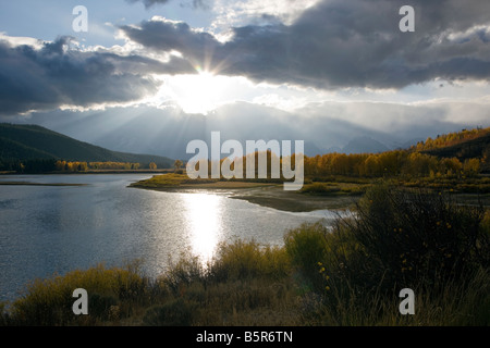 Teton Mountains et trembles golden en automne, vue d'Oxbow Bend, Snake River, Grand Teton National Park, Wyoming, USA Banque D'Images