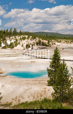 Sentier menant à travers des sources chaudes et des geysers dans le bassin de Norris Article de parc national de Yellowstone au Wyoming Banque D'Images