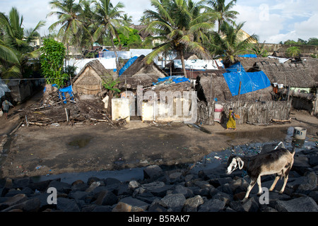 Au-delà de l'habitation le brise-lames à Pondichéry en Inde. Banque D'Images