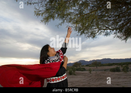 Mojave adolescente vêtue de robe traditionnelle atteint pour une branche mesquite sur la réserve indienne de fort Mojave, page Arizona Banque D'Images