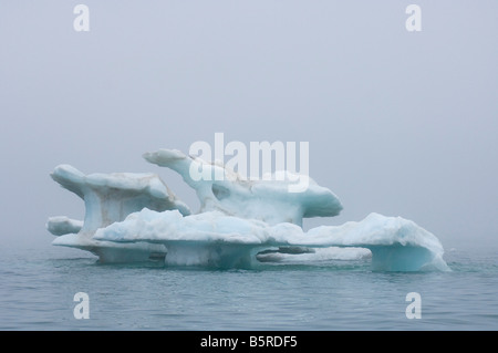 Iceberg flottant dans l'océan Arctique de la mer de Beaufort, au large de la côte de l'Arctic National Wildlife Refuge en Alaska Banque D'Images
