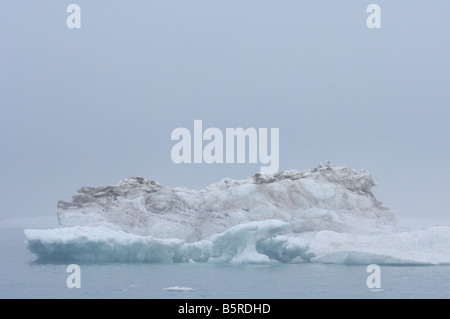 Iceberg flottant dans l'océan Arctique de la mer de Beaufort, au large de la côte de l'Arctic National Wildlife Refuge en Alaska Banque D'Images