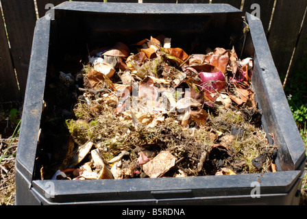 Fabrication du compost à partir des déchets biodégradables de la cuisine et du jardin à l'intérieur d'un bac à compost en plastique Banque D'Images