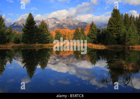 Teton mountain range et l'automne arbres se reflétant sur l'étang de castors à l'atterrissage Schwabacher Banque D'Images