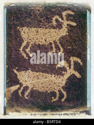 Petroglyph, mouflons taillées dans la roche, le Ginkgo Petrified Forest State Park, Washington, de l'image Polaroid Banque D'Images