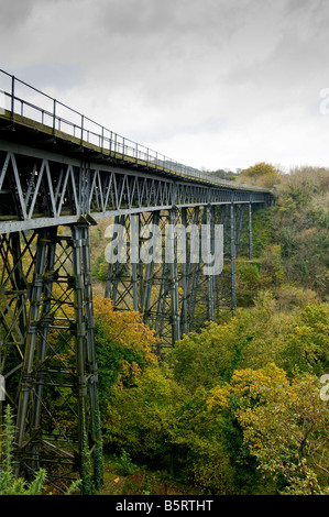 Meldon Viaduct, un excellent exemple de l'ingénierie de l'époque victorienne Banque D'Images