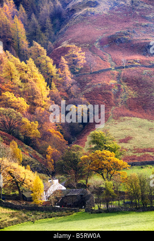 Gîte rural niché au fond d'une colline à l'automne dans le Parc National du Lake District, Cumbria, England, UK Banque D'Images