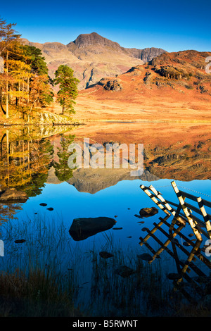 Tôt le matin, le soleil et les réflexions dans le Tarn Blea le long d'une journée d'automne, Parc National de Lake District, Cumbria, England, UK Banque D'Images