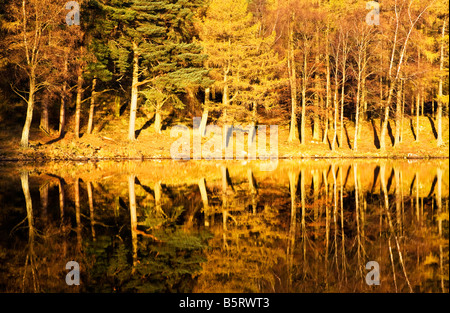 Tôt le matin, le soleil et les réflexions dans le Tarn Blea le long d'une journée d'automne, Parc National de Lake District, Cumbria, England, UK Banque D'Images