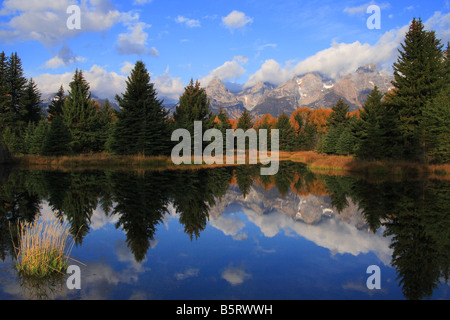 Teton mountain range et l'automne arbres se reflétant sur l'étang de castors à l'atterrissage Schwabacher Banque D'Images