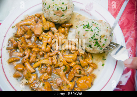 Canederli (Knödel) aux girolles (finferli) champignons. Plat typique du Tyrol du Sud, région Trentin-Haut-Adige, Italie. Banque D'Images