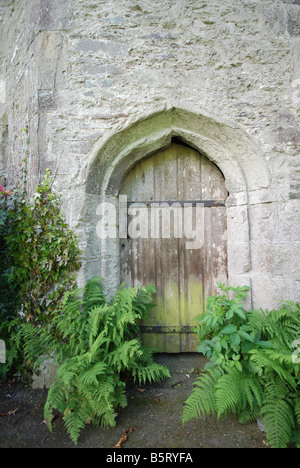 Vieille porte en bois menant à la Cathédrale de St Davids dans Pembrokeshire, Pays de Galles Banque D'Images