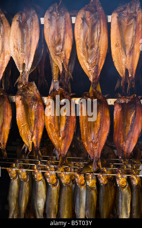 Le poisson et les harengs fumée au cours de l'assemblée annuelle du Festival du hareng dans le village côtier de Clovelly North Devon England UK Banque D'Images