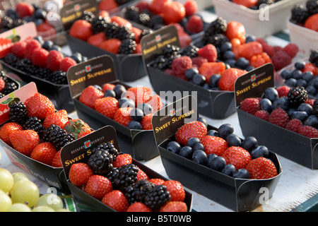 Petits fruits pour la vente au marché Havelska dans la Vieille Ville (Stare Mesto), Prague Banque D'Images